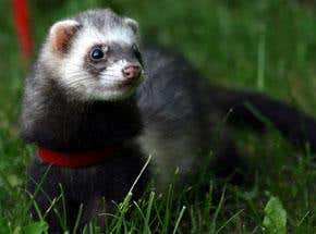 Did someone say 'sex on a peach'?