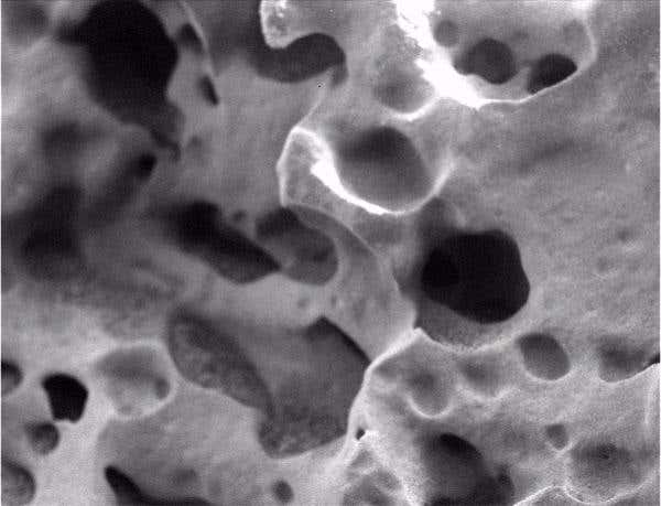 New Scientist. Science news and long reads from expert journalists, covering developments in science, technology, health and the environment on the website and the magazine.