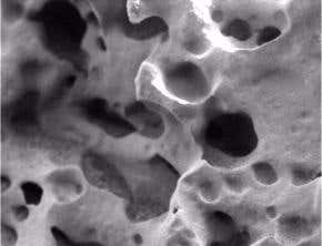 Mars rover tries to weather dust storm