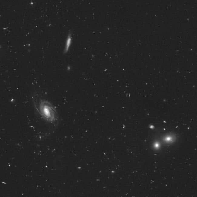A small portion of the patch of sky imaged by HST for the COSMOS survey shows numerous galaxies