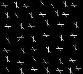 Your snap judgments are spot on