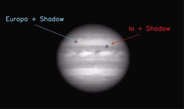 New Scientist. Science news and long reads from expert journalists, covering developments in science, technology, health and the environment on the website and the magazine.