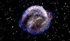 Kepler's supernova may aid dark energy search