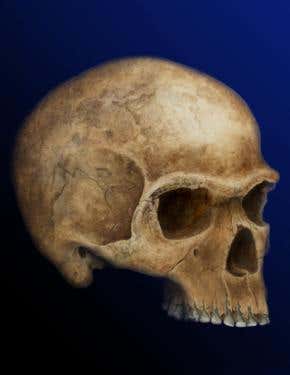 New signposts on the path of early human migration