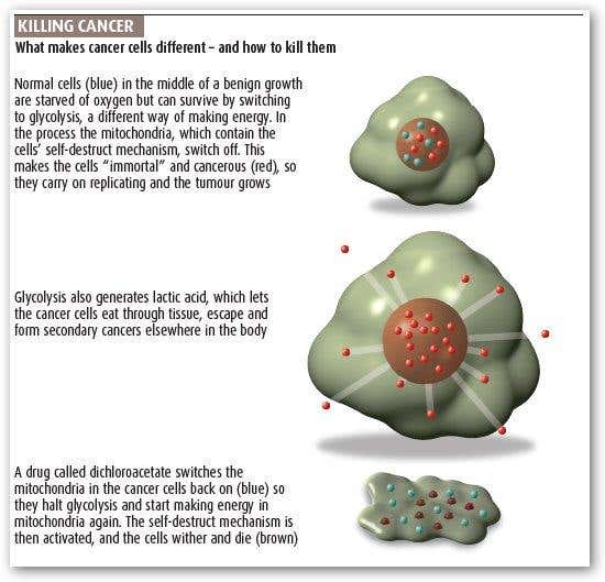New Scientist. Science news and long reads from expert journalists, covering developments in science, technology, health and the environment on the website and the magazine.