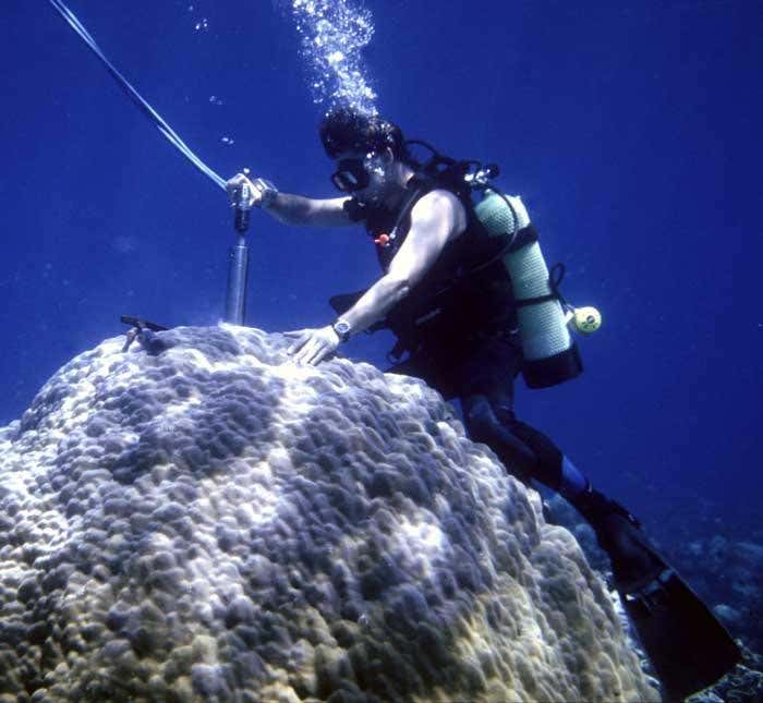 New Scientist. Science news and long reads from expert journalists, covering developments in science, technology, health and the environment on the website and the magazine.