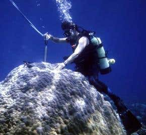 Climate change may boost monsoon and worsen droughts