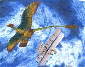Did the dinosaurs invent biplane technology?