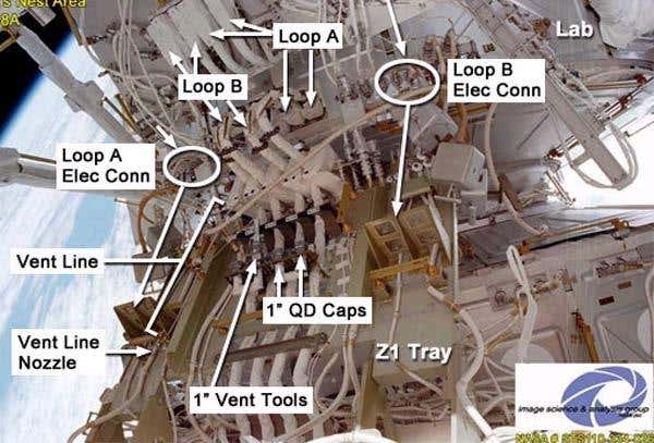 New Scientist. Science news and long reads from expert journalists, covering developments in science, technology, health and the environment on the website and the magazine.