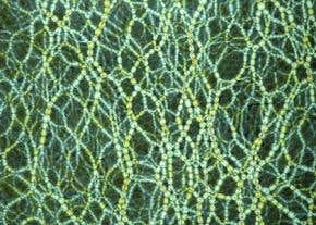 Glowing discs reveal sudden granular jamming