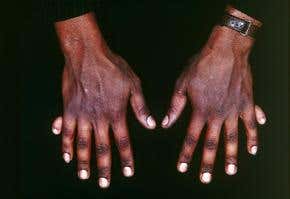 The ancestor within all creatures