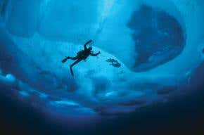 Arctic robots to get first taste of 'alien' life