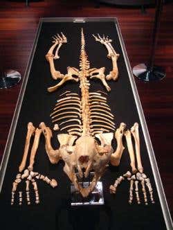 New Scientist. Science news and long reads from expert journalists, covering developments in science, technology, health and the environment on the website and the magazine.