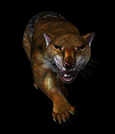 Computer-aided artist's impression of Thylacoleo carnifex