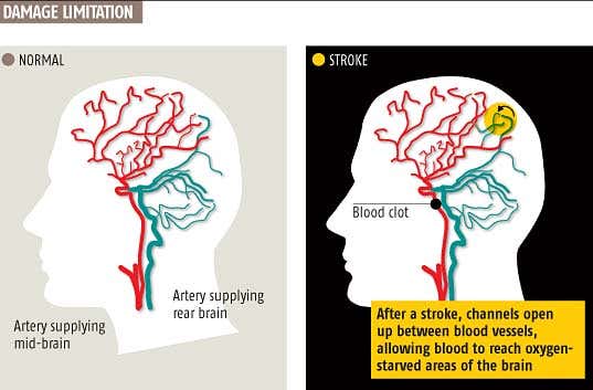 New Scientist. Science news and long reads from expert journalists, covering developments in science, technology, health and the environment on the website and the magazine.