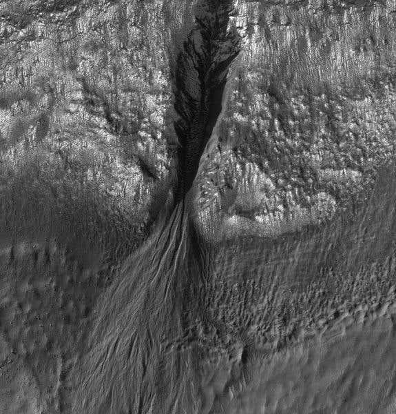 New Scientist. Science news and long reads from expert journalists, covering developments in science, technology, health and the environment on the website and the magazine.