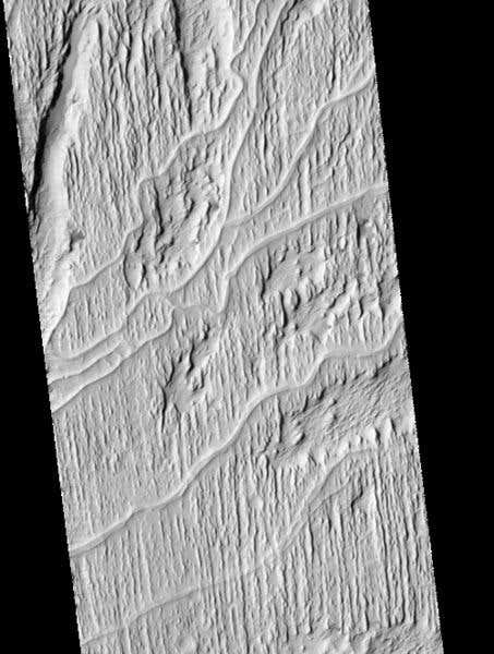 Ancient streambeds, which are resistant to erosion and now lie higher up than their surroundings, snake across the Martian surface