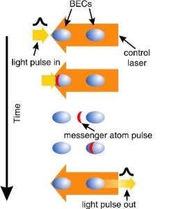 New Scientist. Science news and long reads from expert journalists, covering developments in science, technology, health and the environment on the website and the magazine.