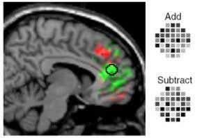 Brain scans reveal intentions of calculating minds