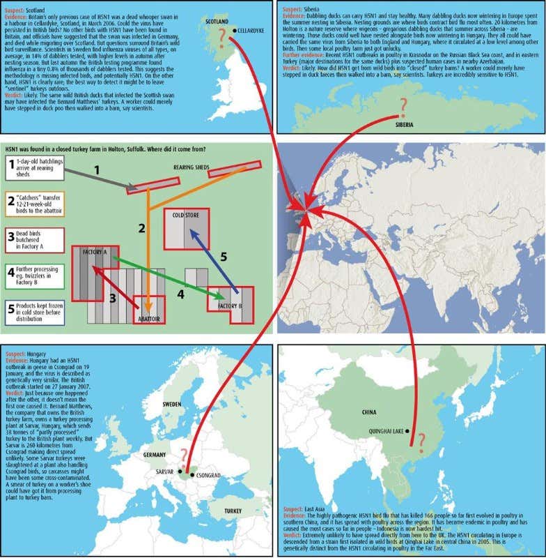 New Scientist. Science news and long reads from expert journalists, covering developments in science, technology, health and the environment on the website and the magazine.