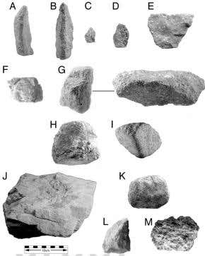 Did prehistoric chimps use stone tools too?
