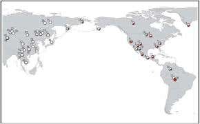 Native American populations share gene signature