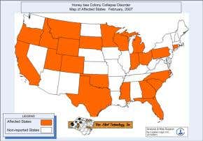 Mystery illness devastates honeybee colonies