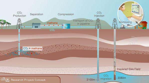 New Scientist. Science news and long reads from expert journalists, covering developments in science, technology, health and the environment on the website and the magazine.