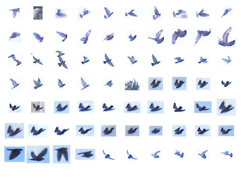 New Scientist. Science news and long reads from expert journalists, covering developments in science, technology, health and the environment on the website and the magazine.