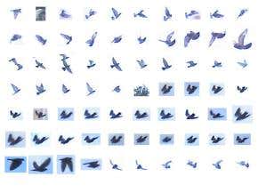 Robot birdwatcher joins hunt for elusive woodpecker