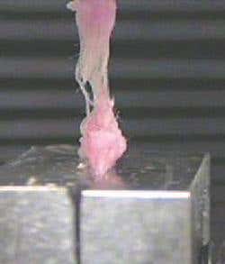 New Scientist. Science news and long reads from expert journalists, covering developments in science, technology, health and the environment on the website and the magazine.