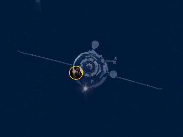 New Scientist. Science news and long reads from expert journalists, covering developments in science, technology, health and the environment on the website and the magazine.