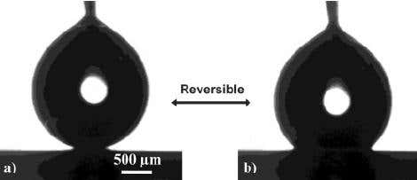 New Scientist. Science news and long reads from expert journalists, covering developments in science, technology, health and the environment on the website and the magazine.