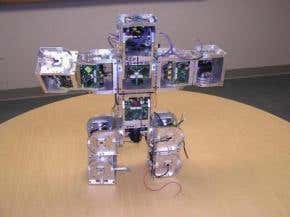 Modular robot's wriggles show greater flexibility