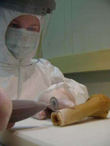 New Scientist. Science news and long reads from expert journalists, covering developments in science, technology, health and the environment on the website and the magazine.