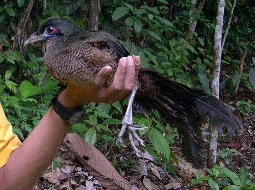 New Scientist. Science news and long reads from expert journalists, covering developments in science, technology, health and the environment on the website and the magazine.