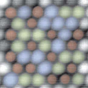 Microscope discerns atoms of different elements