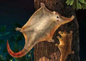 Prehistoric mammals: Big, bad and furry