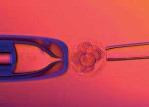 Egg screening doubles IVF success