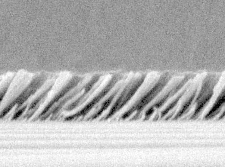 New Scientist. Science news and long reads from expert journalists, covering developments in science, technology, health and the environment on the website and the magazine.