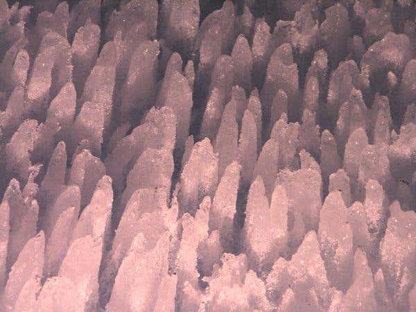 New Scientist. Science news and long reads from expert journalists, covering developments in science, technology, health and the environment on the website and the magazine.