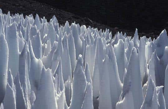 Penitentes are found above 4000 metres in the Andes; these Argentinian features have blades between 1.5 and 2 m high
