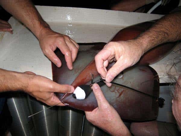 New Scientist. Science news and long reads from expert journalists, covering developments in science, technology, health and the environment on the website and the magazine.