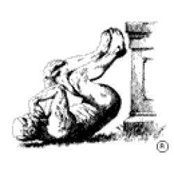 Ultrasound scan reveals likely outcome of IVF