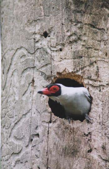 New Scientist. Science news and long reads from expert journalists, covering developments in science, technology, health and the environment on the website and the magazine.