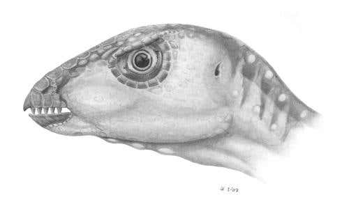 New Scientist. Science news and long reads from expert journalists, covering developments in science, technology, health and the environment on the website and the magazine.