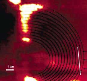Bolt-on 'superlens' gives microscope nanoscale vision