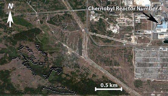 New Scientist. Science news and long reads from expert journalists, covering developments in science, technology, health and the environment on the website and the magazine.