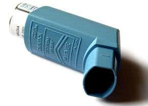 Asthma linked to hybrid immune cell