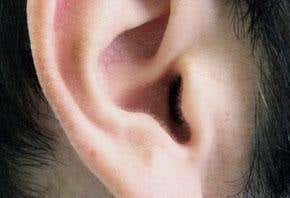 Gone today, hear tomorrow